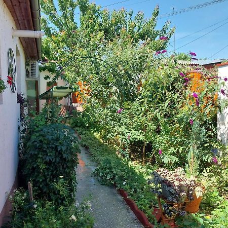 Вилла Casa Calin Тулча Экстерьер фото